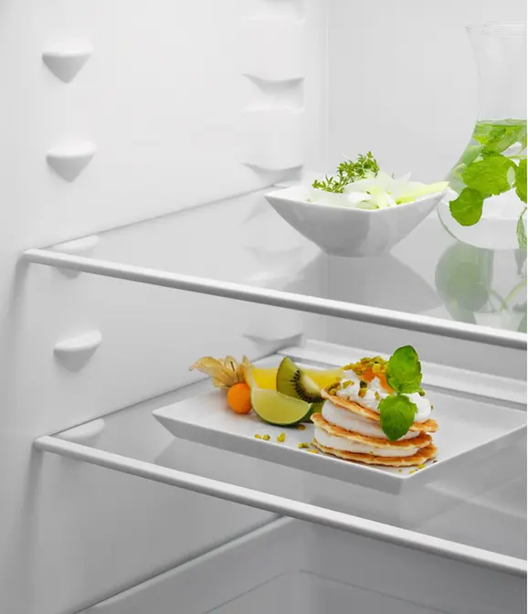 Холодильник Electrolux ERD6DE18S4 фото 3