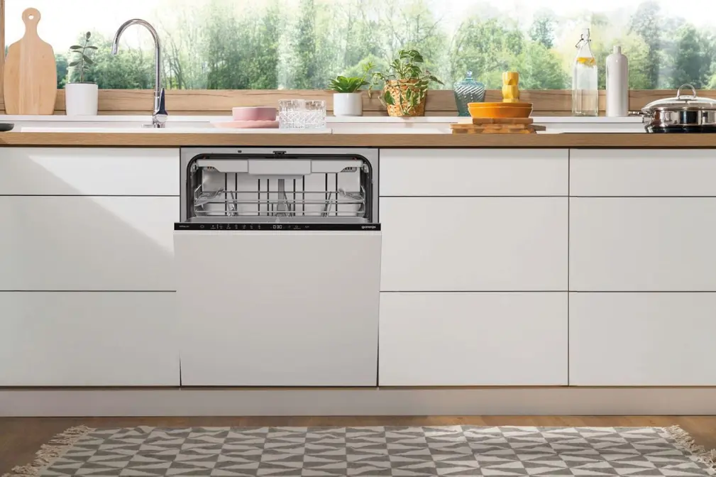 Посудомоечная машина Gorenje GV16D5 фото 11