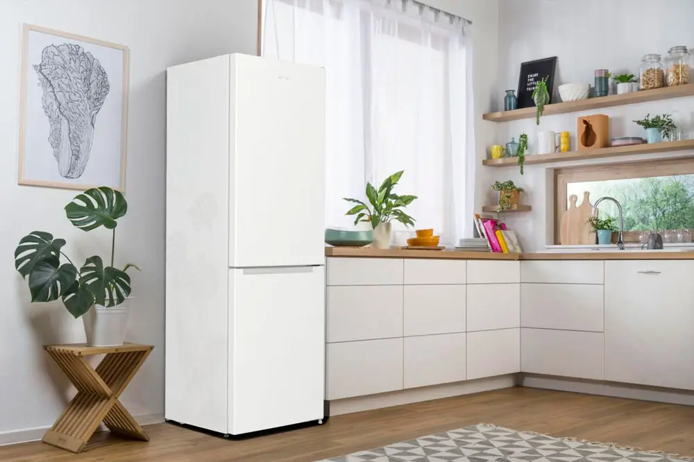Холодильник Gorenje RK6191EW4 фото 6