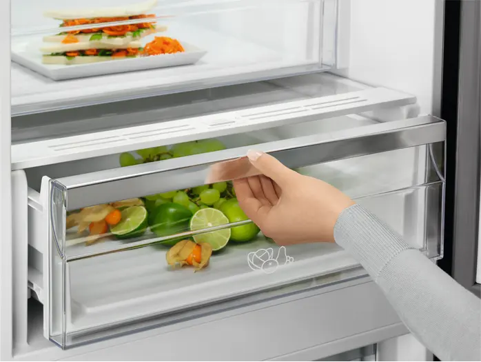 Холодильник Electrolux RNC7ME34W2 фото 5