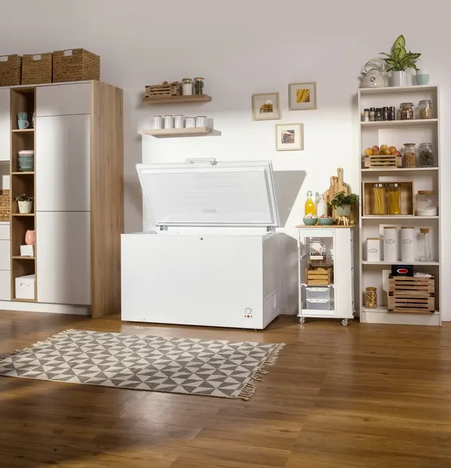 Морозильный ларь Gorenje FH451CW фото 16