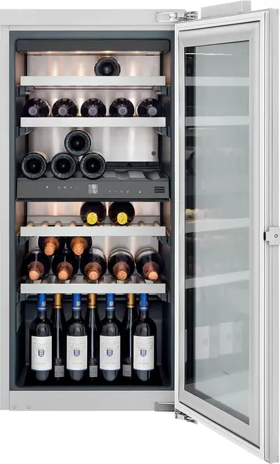 Винный холодильник Gaggenau RW222263 фото 1