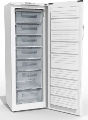 Морозильный шкаф Gorenje F6171CW фото 1