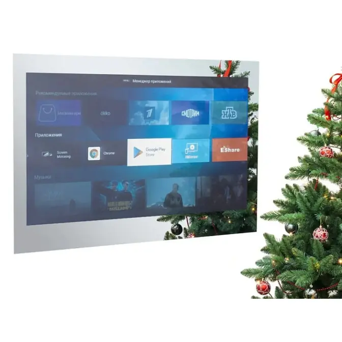 Телевизор для ванной комнаты AVEL AVS555SMFM (AVS555SM Mirror HB) фото 1