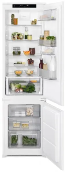 Холодильник Electrolux RNS8FF19S фото 1