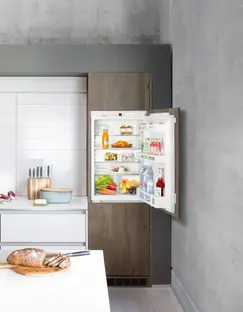 Встраиваемый холодильник Liebherr IK 1620 фото 3