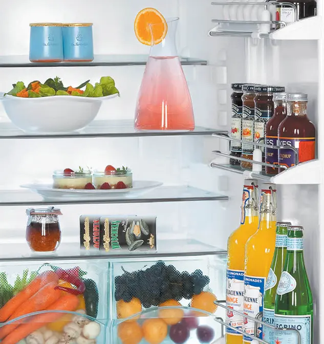 Холодильник Liebherr TPesf 1710-22 001 фото 4