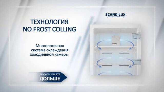 Обзор холодильника Scandilux R 711 Y02 S