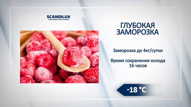 Обзор морозильника Scandilux F 064 W