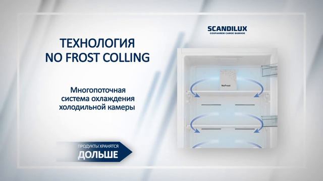 Обзор холодильника Scandilux R 711 Y02 W