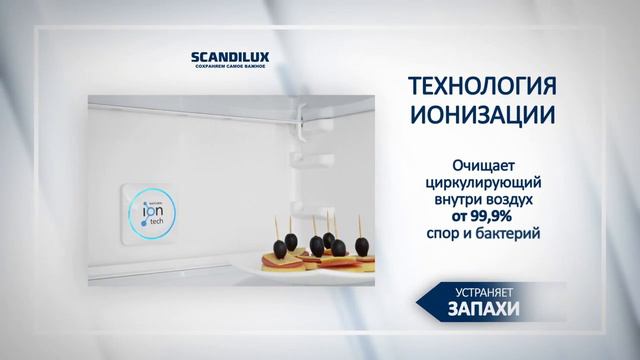 Обзор холодильника Scandilux R 711 EZ 12 B