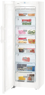 Морозильник Liebherr SGN 3036 (в составе SBS 7242)