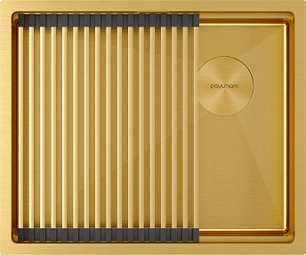 Мойка Paulmark NEXT-PRO 54 UNI PM705445-BG брашированное золото