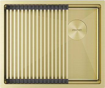 Мойка Paulmark NEXT-PRO 54 UNI PM705445-LG светлое золото