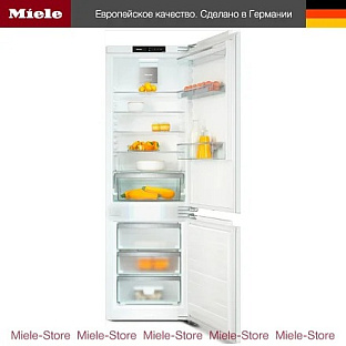 Холодильник Miele KFN