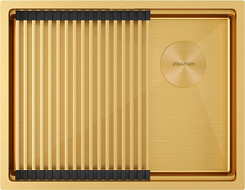 Мойка Paulmark NEXT-PRO 58 UNI PM705845-BG брашированное золото