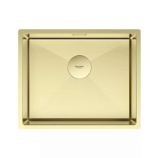 Мойка Paulmark NEXT 54 UNI PM215444-LG светлое золото